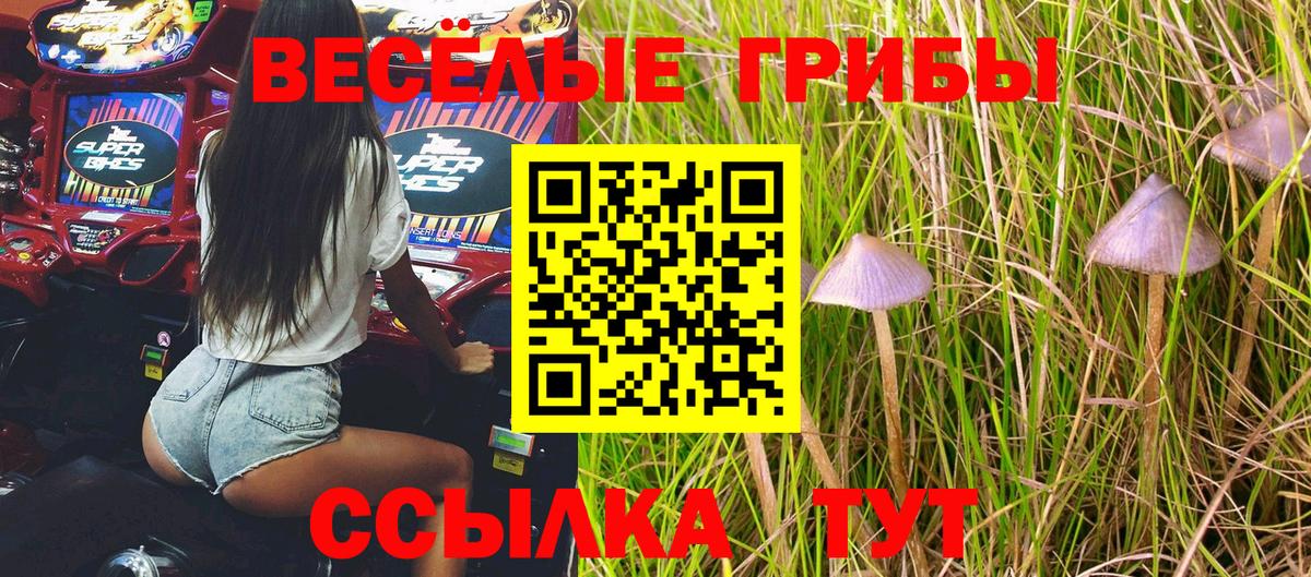 Рубцовск  купить наркотик  Вход с VPN  Псилоцибиновые грибы Cubensis 
